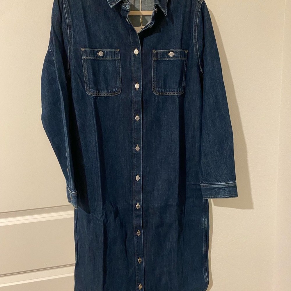 Everlane Blue Denim Shirt Dress